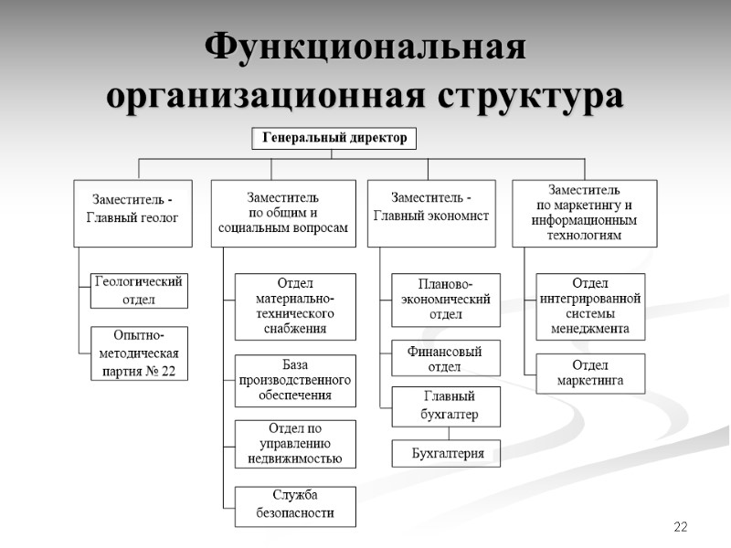 22 Функциональная организационная структура